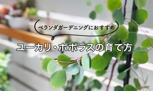 脂肪体积-脂肪体重图网 - 为你提供脂肪重量、身体脂肪总重量的计算公式
